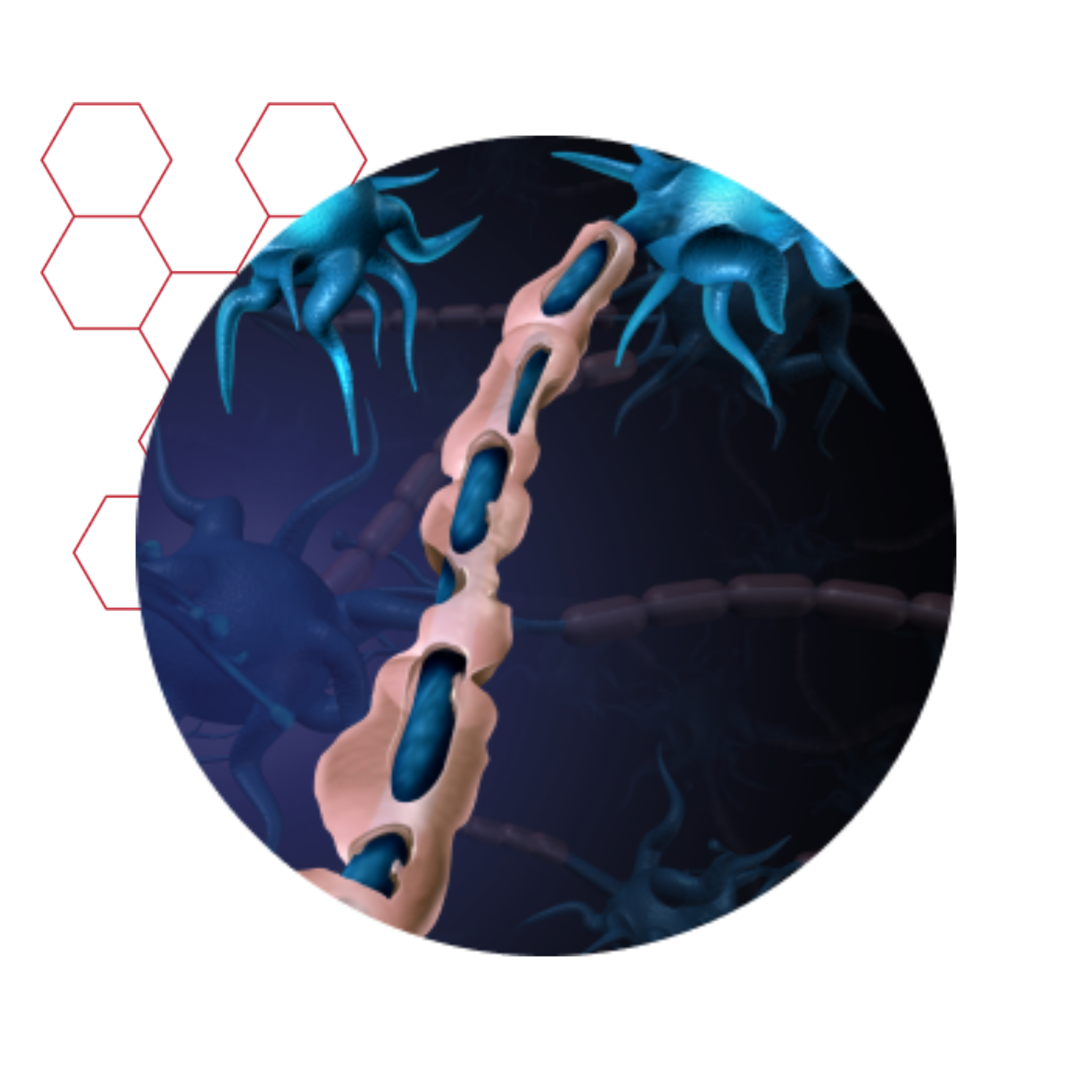 ProdromeGLIAPC+ Phosphatidylcholine (PC) + Omega 9 Plasmalogens