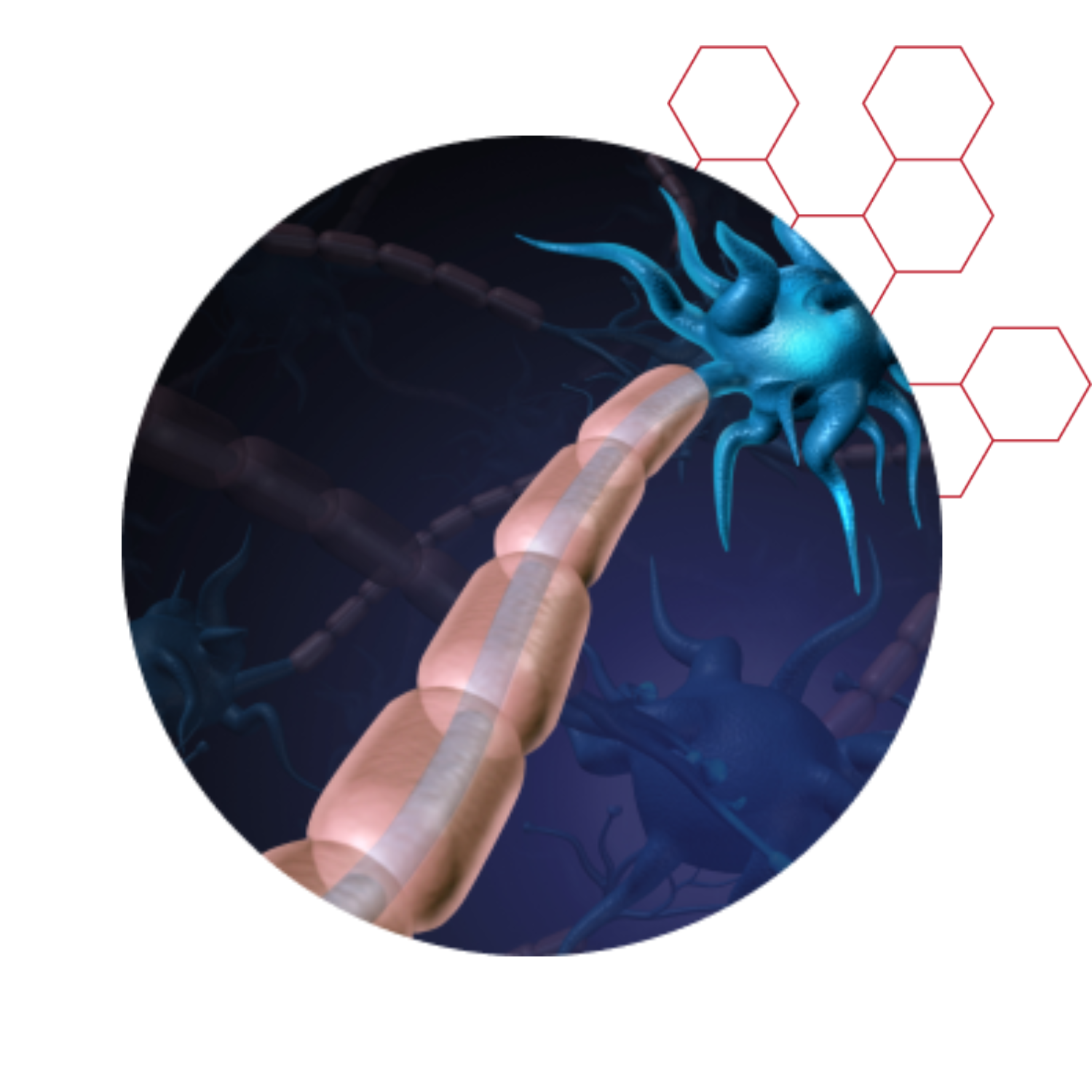 ProdromeGLIAPC+ Phosphatidylcholine (PC) + Omega 9 Plasmalogens